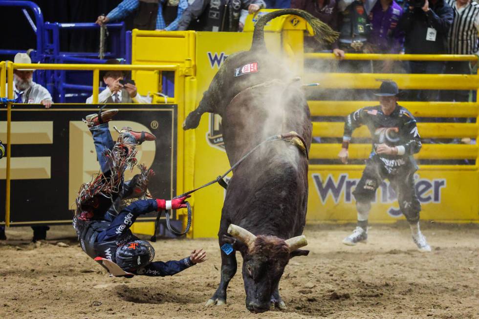 Bull rider Josh Frost falls off of Half Cocked during round three of the National Finals Rodeo ...