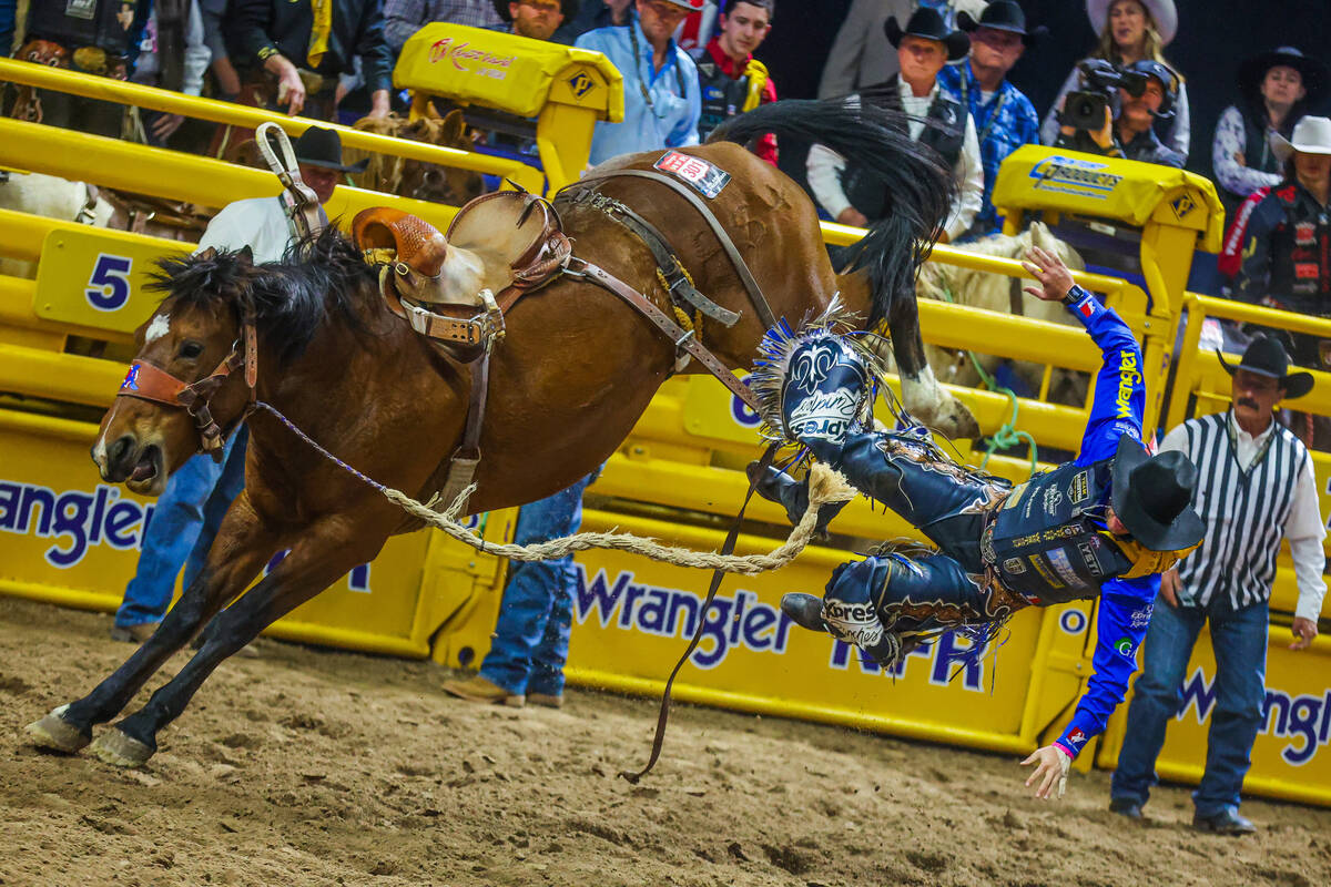 Saddle bronc rider Statler Wright falls off of Cracker Jack during round four of the National F ...