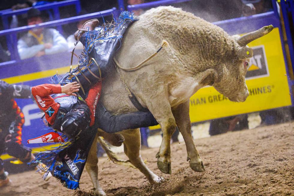 Bull rider Wacey Shalla breaks out of the chute on Alberta Prime Devil’s Advocate during ...