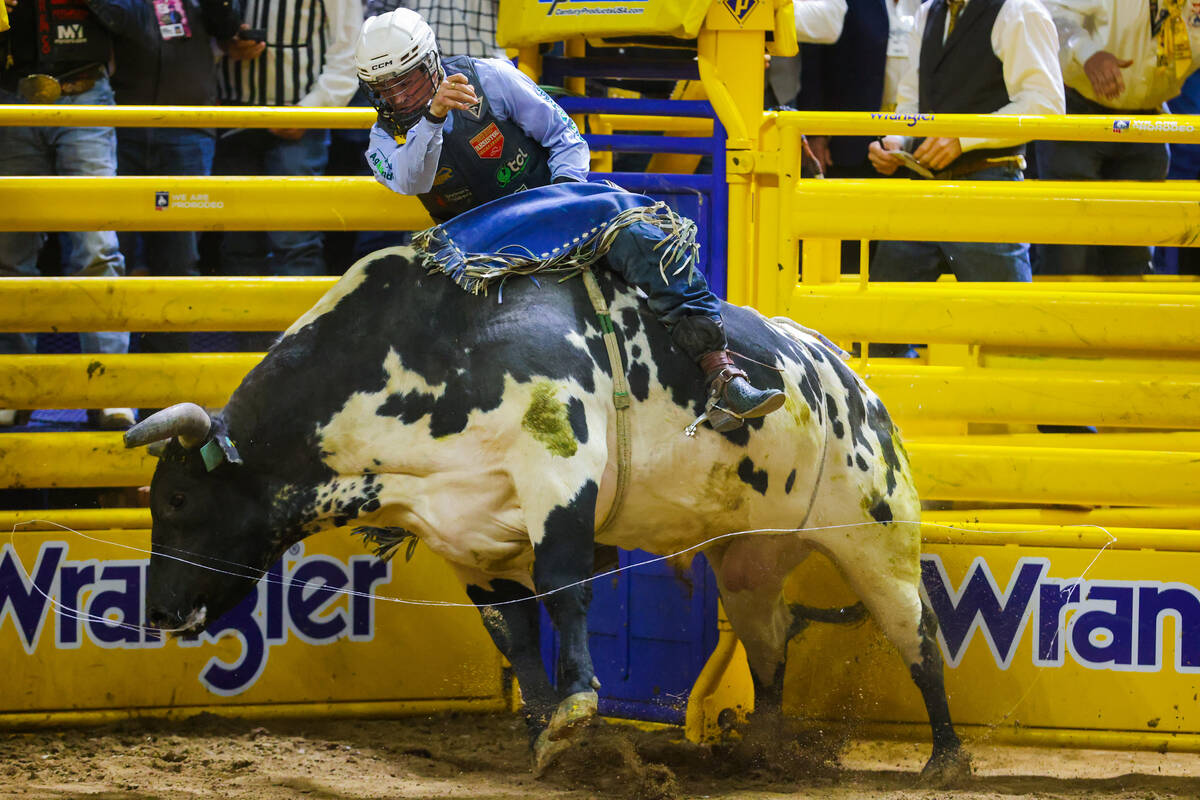 Huckleberry the bull gets snotty as bull rider Clayton Sellars rides him during round four of t ...