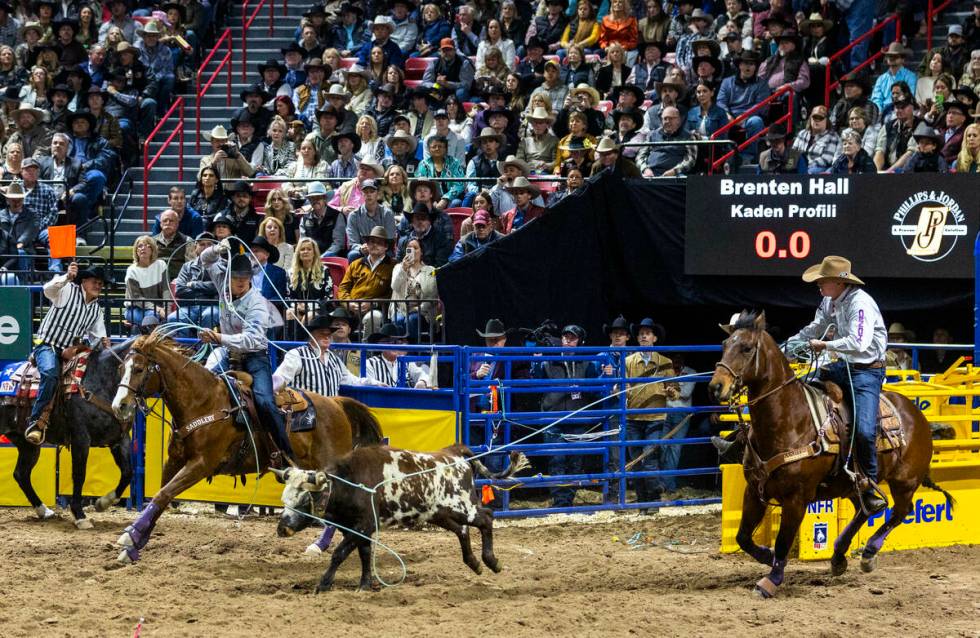 Team Roping contestants Header Brenten Hall, right, and Healer Kaden Profili works to top their ...