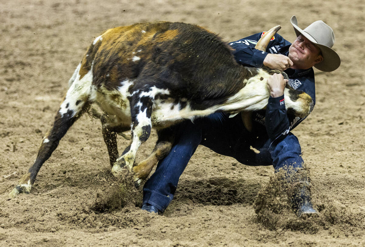 Steer wrestler Dakota Eldridge works to bring down a steer during National Finals Rodeo Day 2 a ...