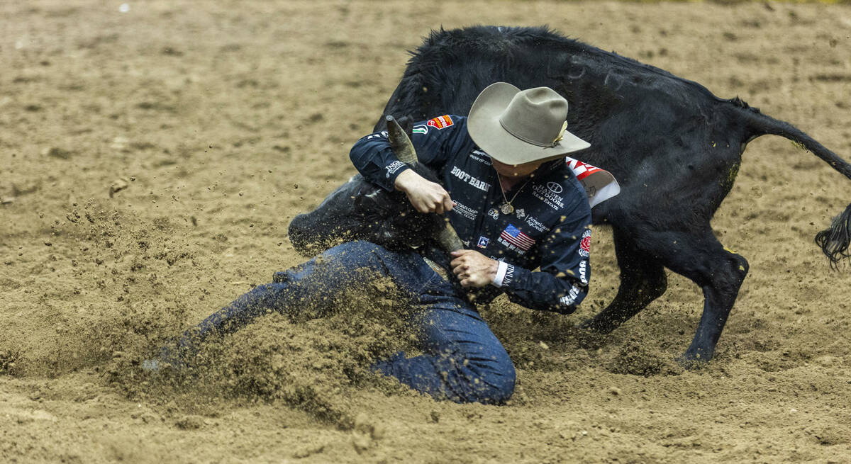 Steer Wrestling contestant Dakota Eldridge wraps up his steer for the take down during National ...