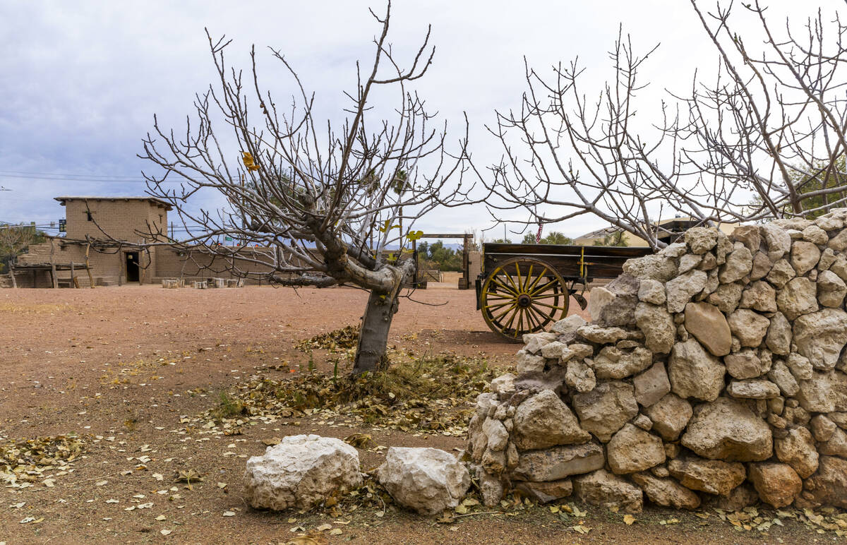 Fruit trees remain from the former ranch at the interior of the Old Mormon Fort, one of the pro ...