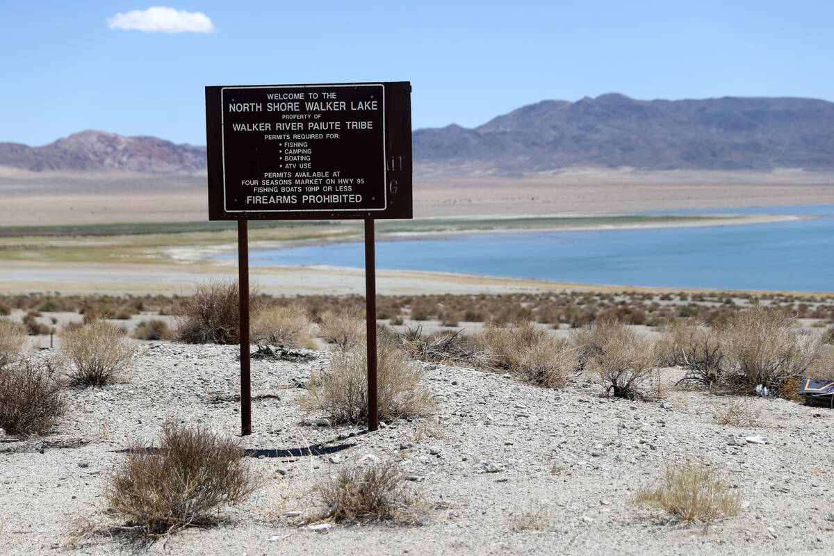 Walker River Paiute Tribe's Walker River Indian Reservation in Schurz on June 18, 2020. (K.M. C ...