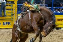 Saddle Bronc Riding contestant Brody Cress rides Wall Street to a winning score during National ...