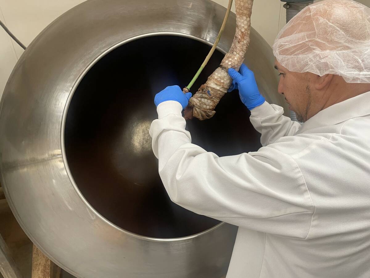 Employees of Kimmie Candy work at the manufacturing facility in Reno, Nevada. (Courtesy of Kimm ...