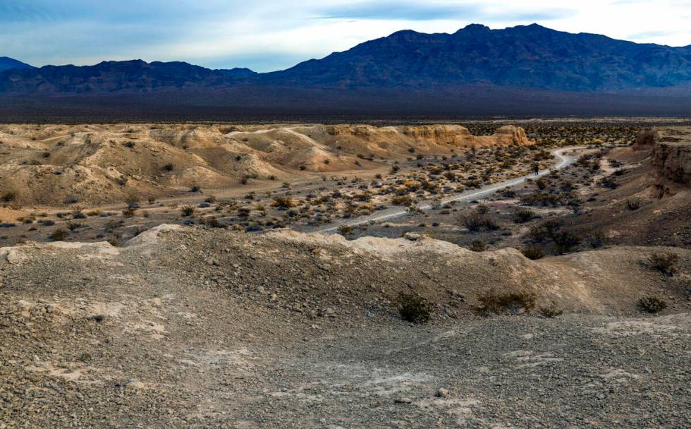 A man and his dogs walk about the Tule Springs Fossil Beds National Monument which is one of th ...