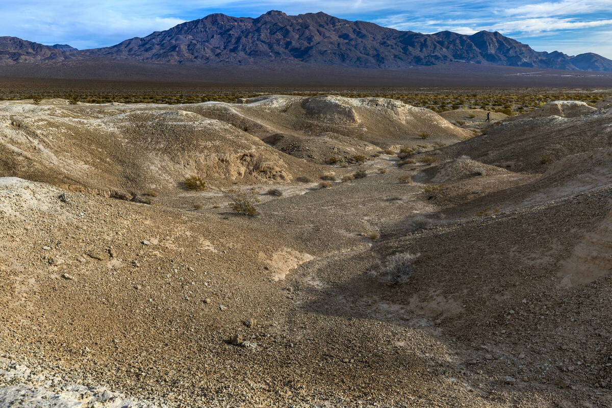 A man walks about the Tule Springs Fossil Beds National Monument which is one of the locations ...