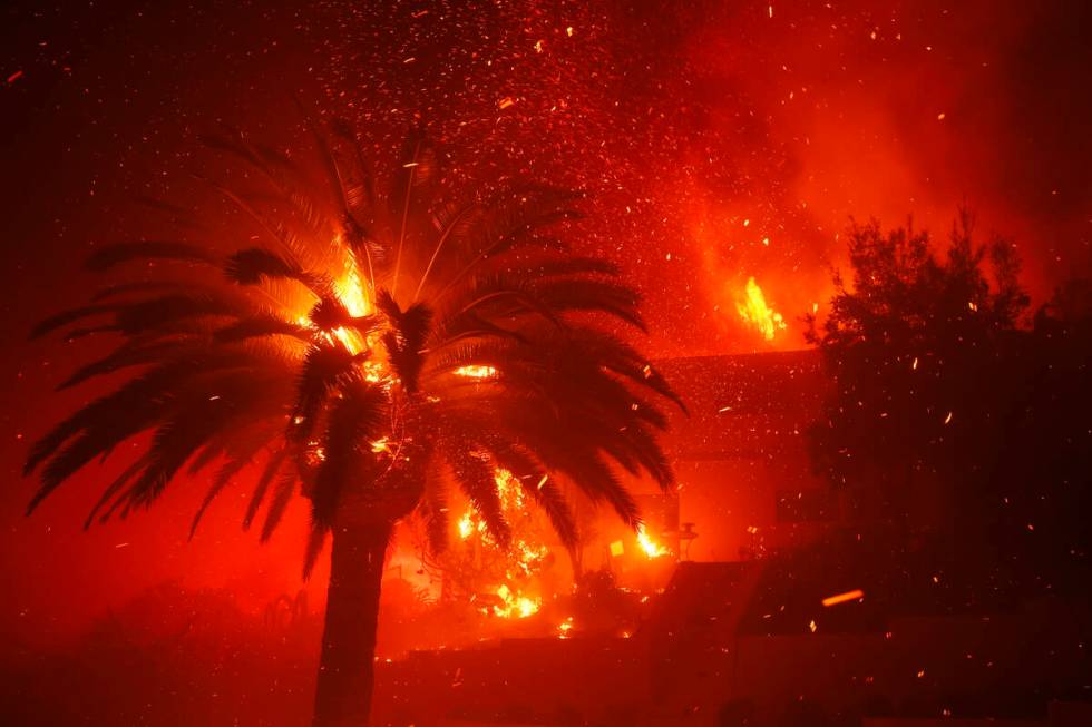 The Palisades Fire burns trees and homes in the Pacific Palisades neighborhood of Los Angeles, ...