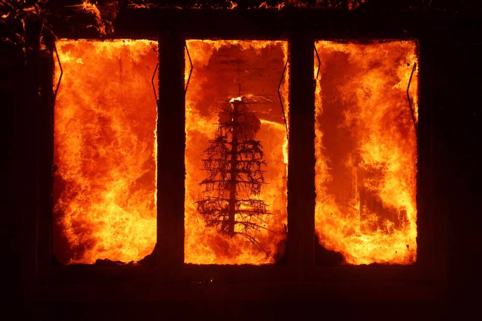 The Palisades Fire burns a Christmas tree inside a residence in the Pacific Palisades neighborh ...