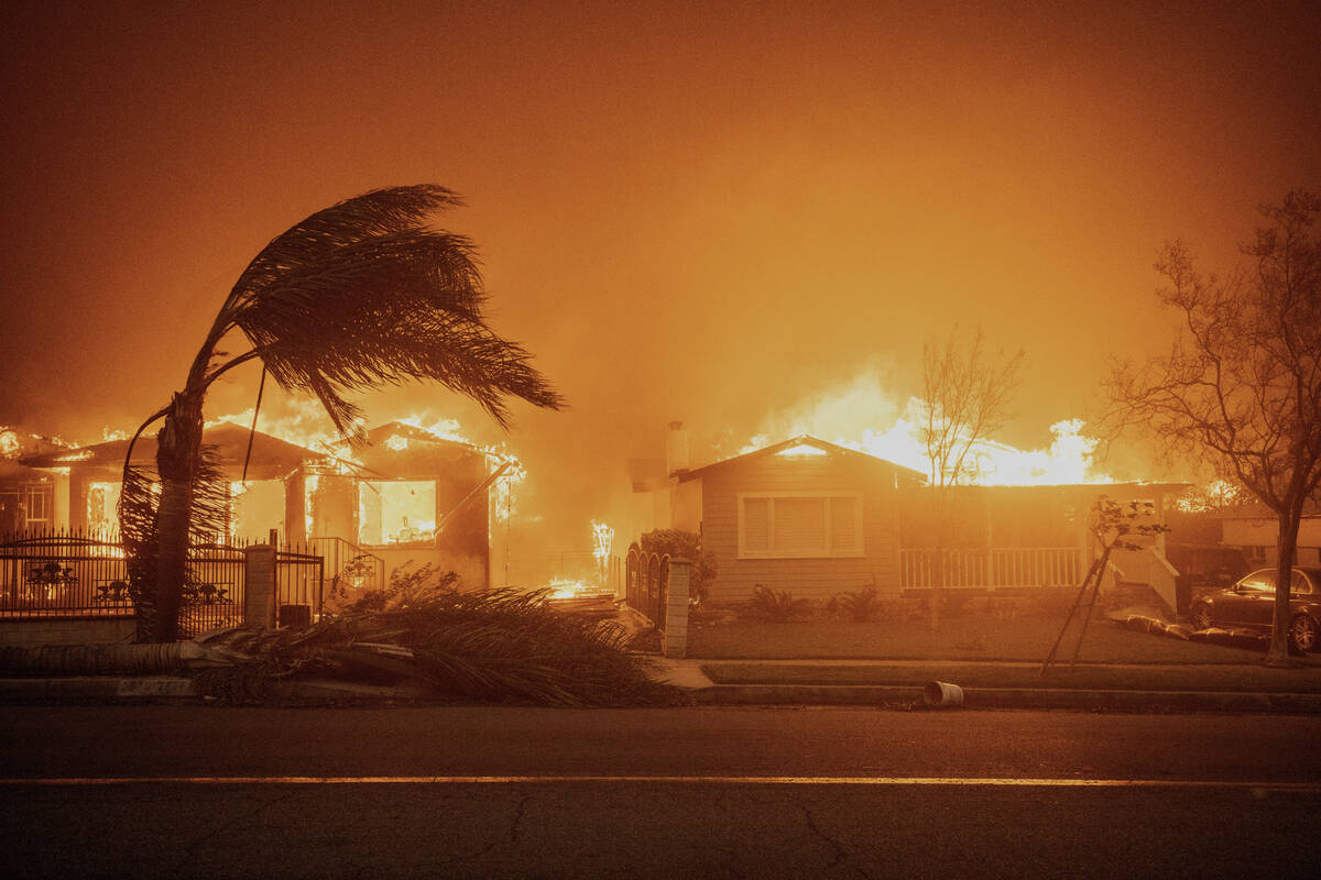 Trees sway in high winds as the Eaton Fire burns structures Wednesday, Jan. 8, 2025 in Altadena ...