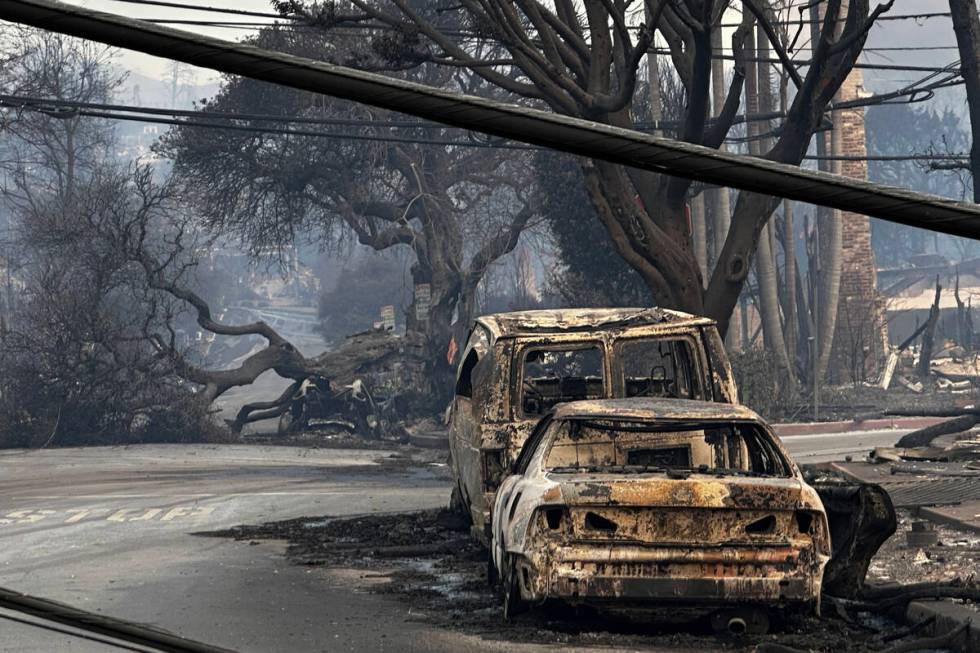 Downed power lines, trees, and burned vehicles are left behind after the Palisades Fire swept t ...