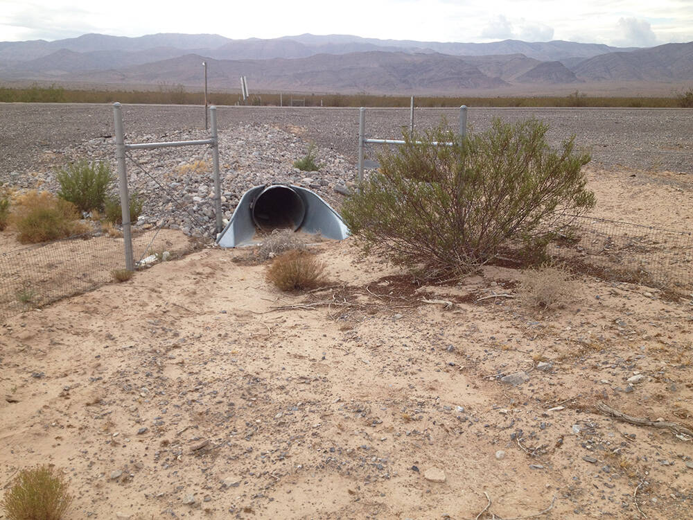 A provided photo shows an example of what a wildlife crossing looks like for desert tortoises i ...