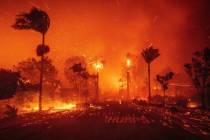 The Palisades Fire ravages a neighborhood amid high winds in the Pacific Palisades neighborhood ...