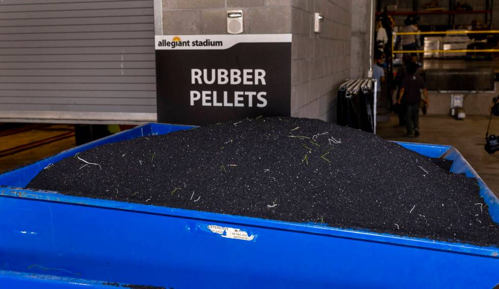 At the end of each turf event, Allegiant Stadium team members collect used rubber turf pellets ...