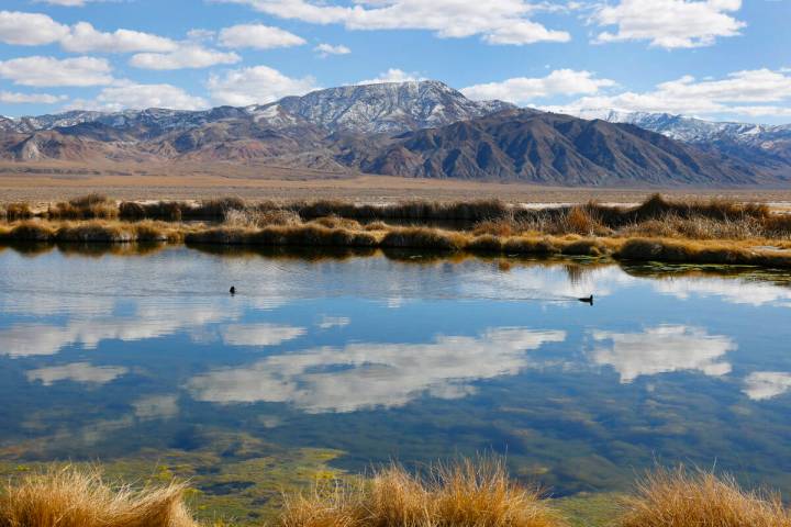 The pond near the Rhyolite Ridge lithium-boron mine project site on Feb. 22, 2024, in Esmeralda ...