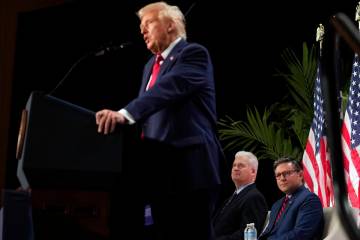 Rep. Tom Emmer, R-Minn., and House Speaker Mike Johnson of La., listen as President Donald Trum ...