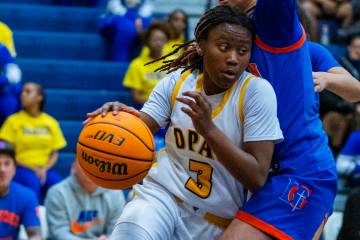 Democracy Prep guard Bray'ana Miles (3) drives the baseline around by Bishop Gorman guard Aalia ...