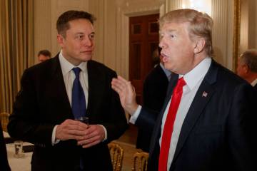 President Donald Trump, right, talks with Elon Musk. (AP Photo/Evan Vucci, File)