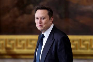 Elon Musk arrives before the 60th Presidential Inauguration in the Rotunda of the U.S. Capitol ...